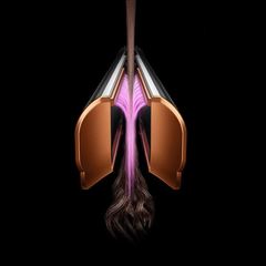 Dyson Airstrait HT01 strawberry/blush s boxom