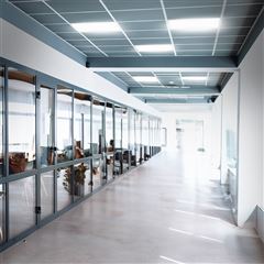 Solight LED svetelný panel Backlit, 36W, 3960lm, 3000/4000/5000K, Lifud, 60x60cm, 3 roky záruka, bílá barva