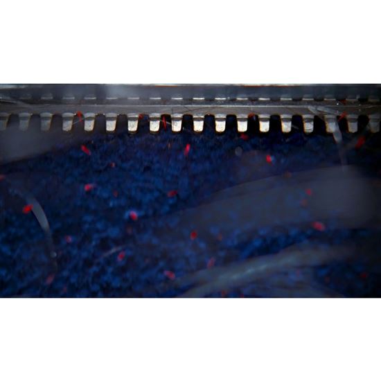 Dyson Clean+Wash Hygiene (2026)
